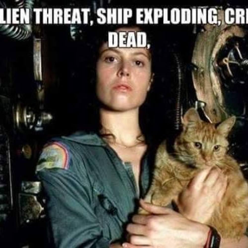 Meet your Posher, Carrie